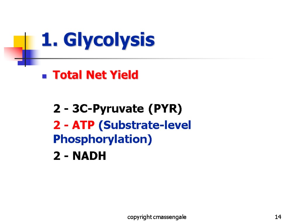 14 1. Glycolysis Total Net Yield 2 - 3C-Pyruvate (PYR) 2 - ATP (Substrate-level